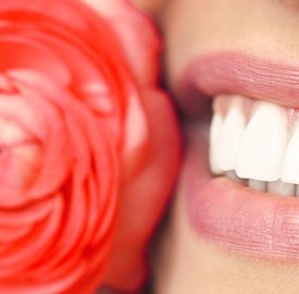 Dental Excellence Integrative Center | Laser Dentistry, Mercury Free and Sleep Apnea Appliances